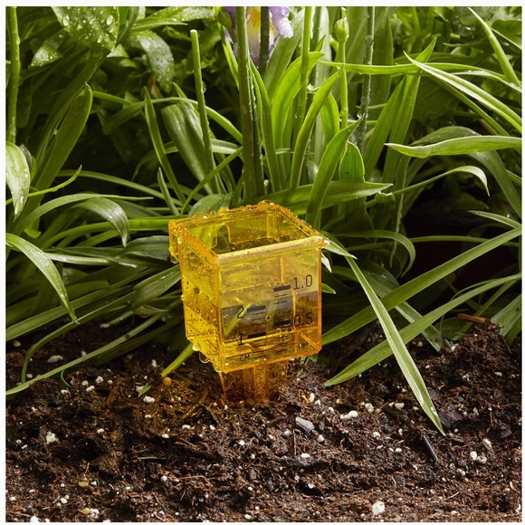 TAYLOR PRECISION PRODUCTS Rain Gauge with Centimetre and Inches Markings - Picture 4 of 6